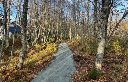 Snarvei 2025 Viser snarvei gjennom skog tett på boligfelt